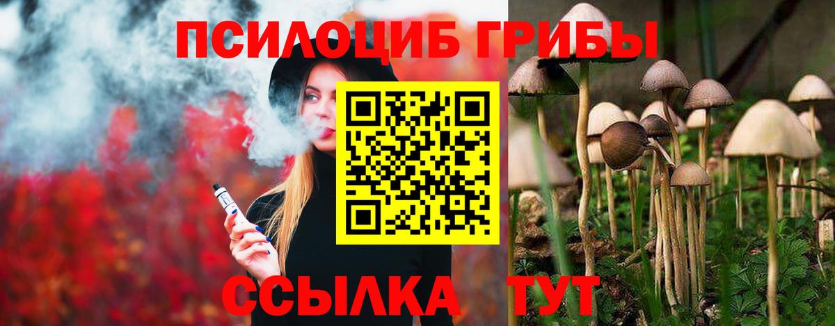 Псилоцибиновые грибы мицелий Алушта